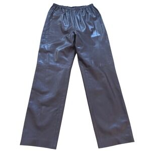 Shamask Brown Leather Straight Leg Pants Elastic Waist Womens Size 2 Chocolate